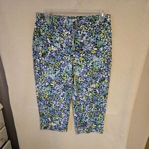 Blue and Green Cropped Floral Pants Sz 14